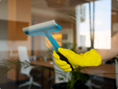 Apartment Cleaning